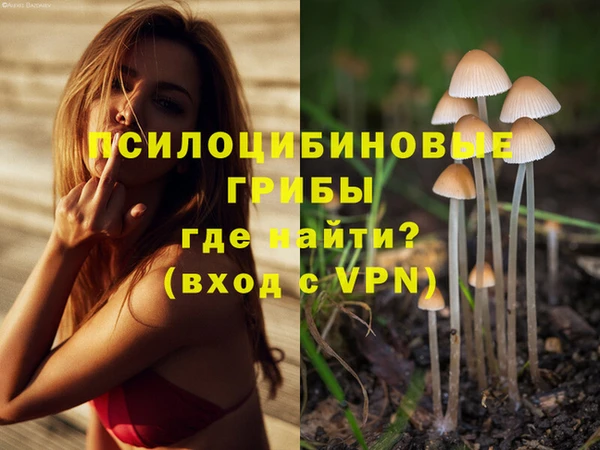 соль курить ск Алзамай