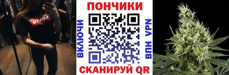 Бошки Шишки план  Богучар 